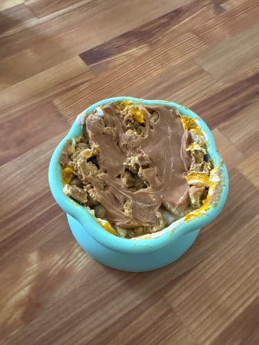 Customer photo review of Freezflower Cup -  Frozen Treat Cup for Calm, Happy Dogs