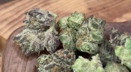 Customer photo review of Value Indoor Smalls