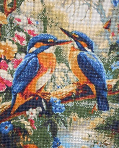 Kundenbewertung mit Foto zu 2 Eisvögel