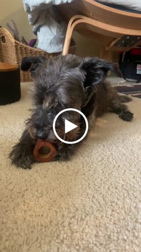 Customer video review of Smoked Beef Marrow Bone