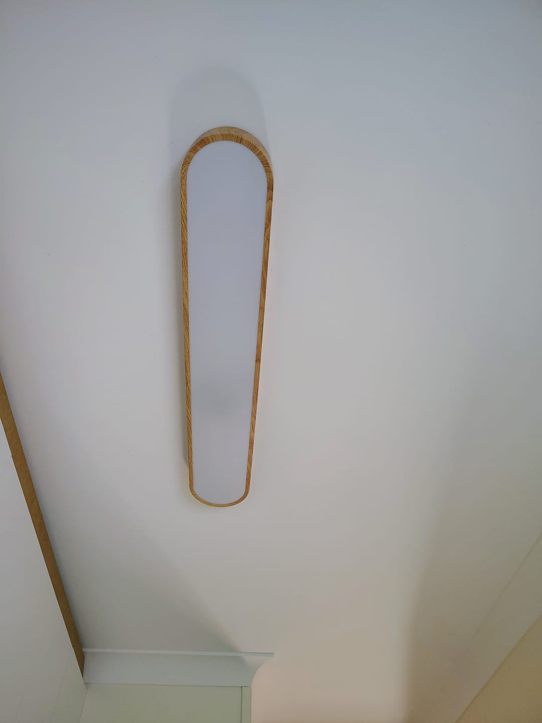 Customer photo review of Nordic 1-Light Oval Shape Led Ceiling Flush Mount With Wood Accent