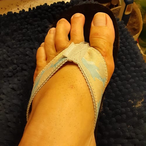 Customer photo review of Dolphin Way