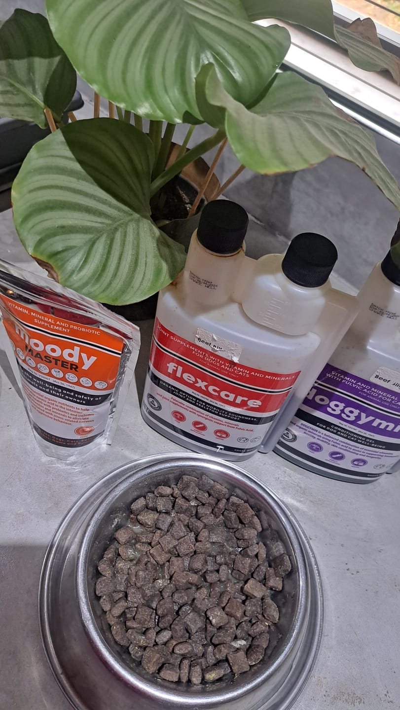 Customer photo review of Moody Master (Stress, Anxiety & Mood Support for Dogs)