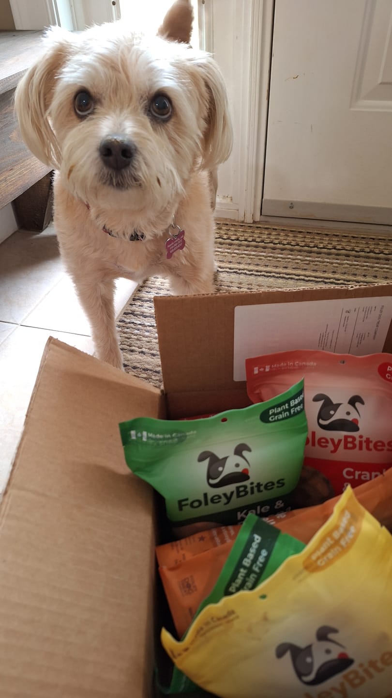 Customer photo review of FoleyBites - 7 Pack Bundle