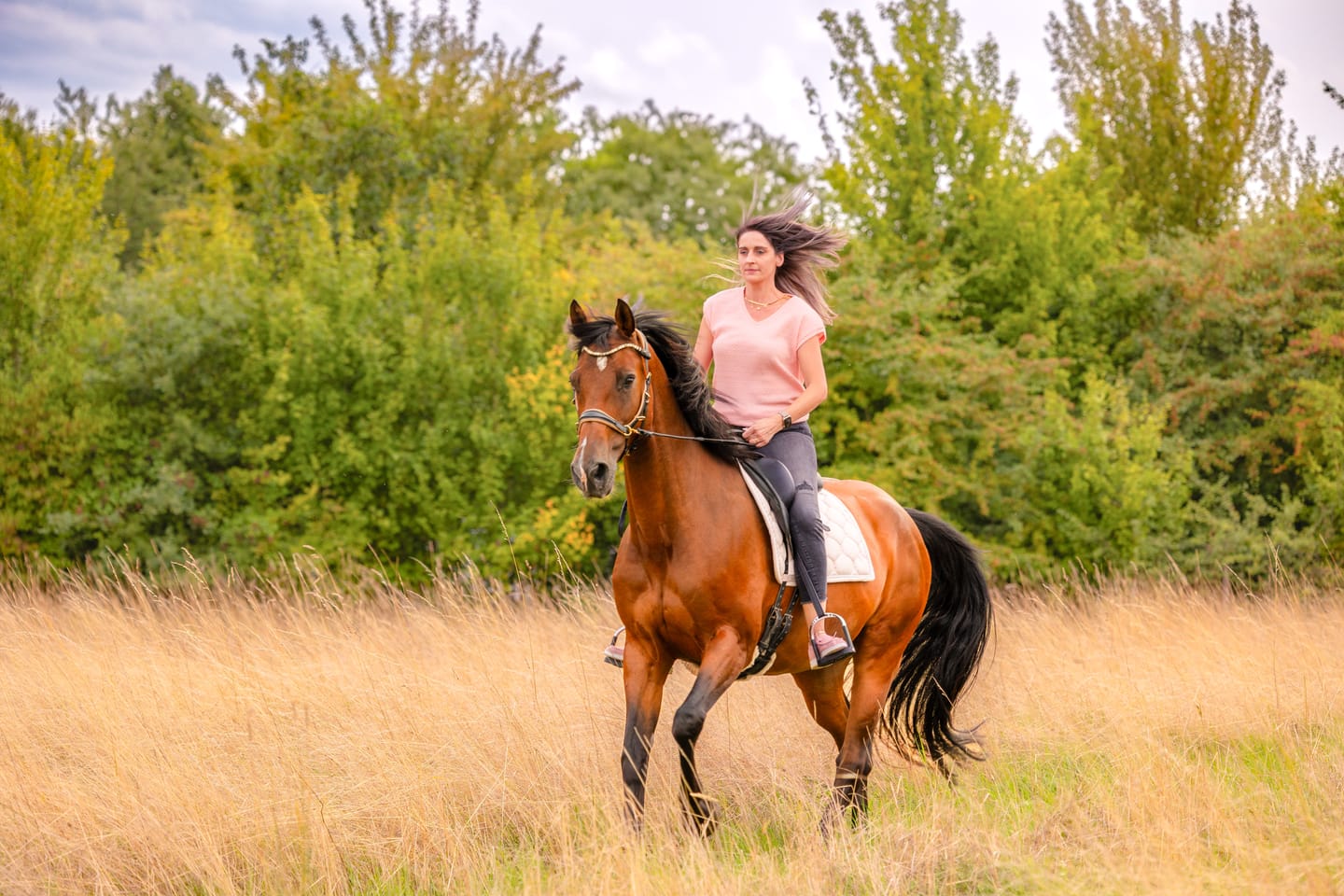 Customer photo review of Spiritandhiscrew X MASEGO bit to bitless Multi bridle