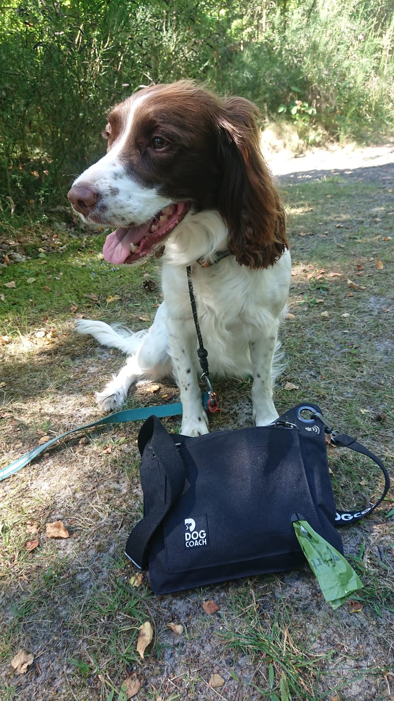 Customer photo review of Hundeluftertaske 6.0 | Tuuli