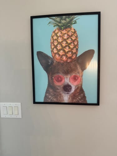 Customer photo review of Ultimate Bundle: 10 Pack