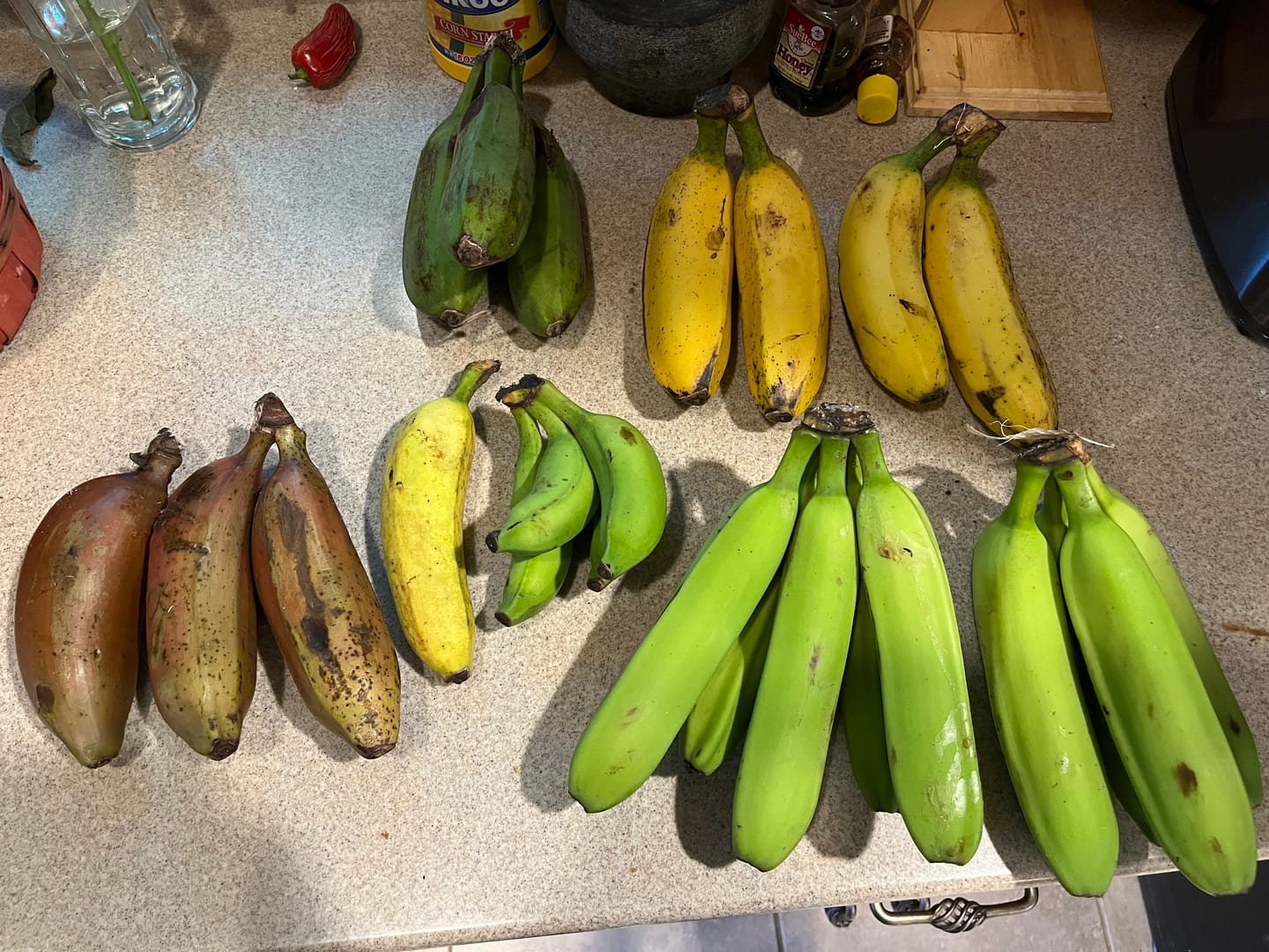 Customer photo review of Banana Variety Box
