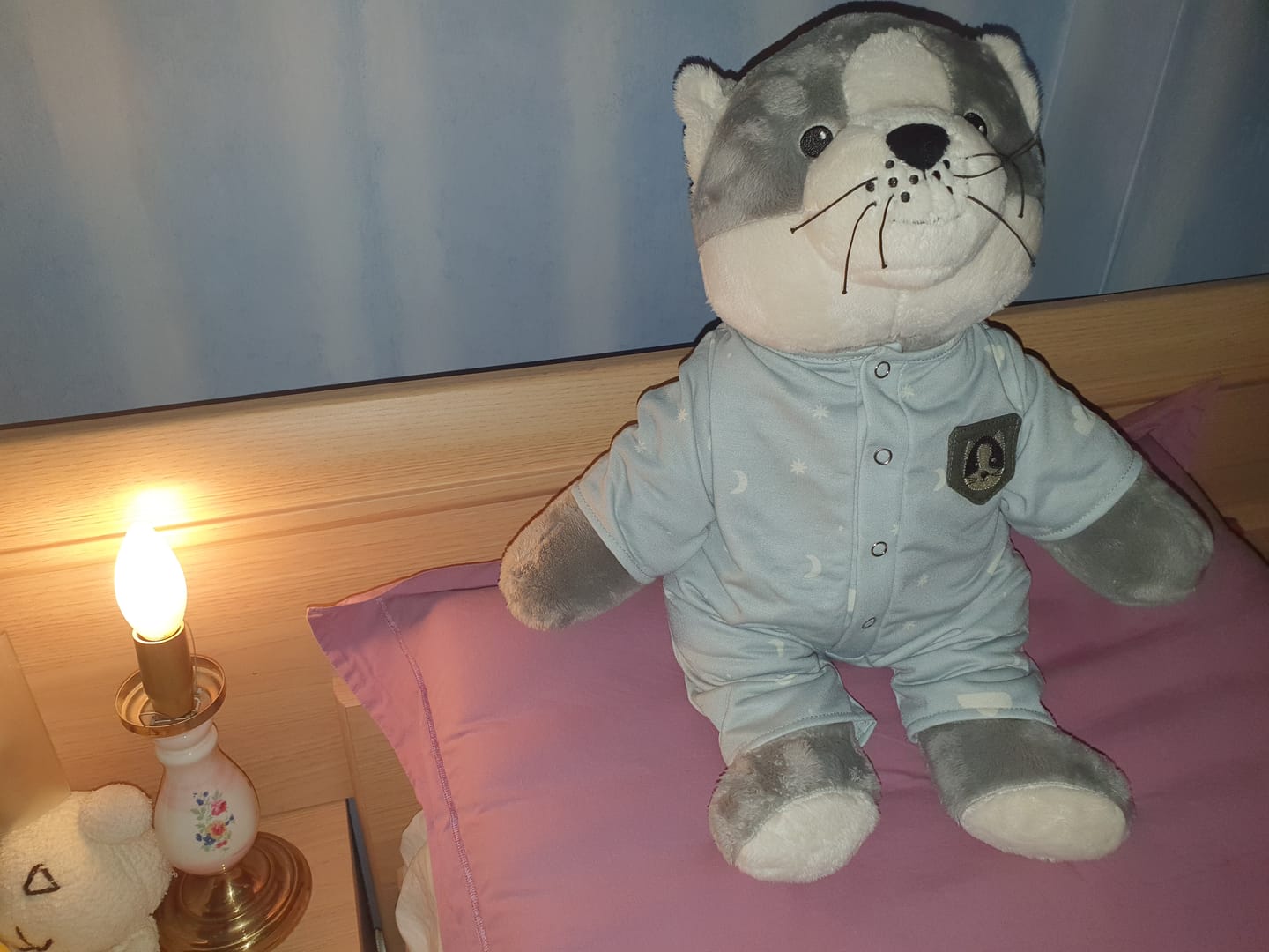 Customer photo review of Kleding Lotgenootje Kat