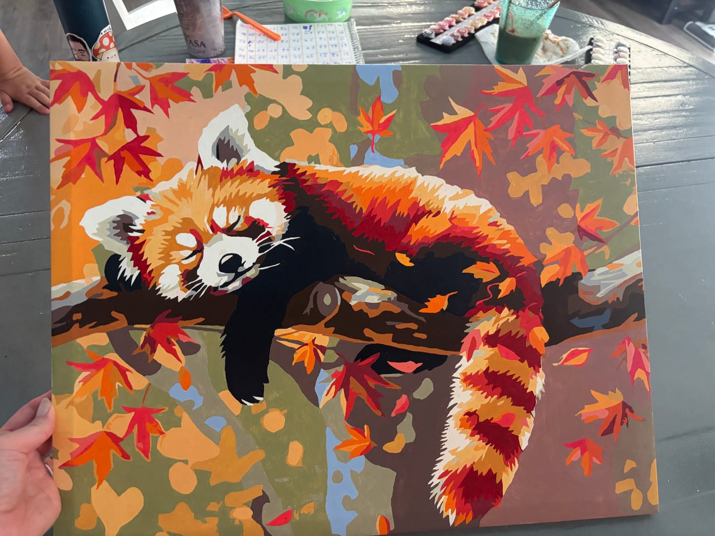 Customer photo review of Relaxed Red Panda