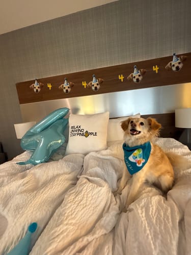 Customer photo review of Personalized Dog Party Pack