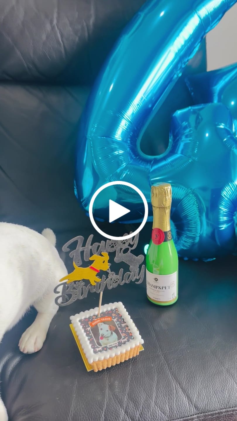 Customer video review of Fotogenica 3 Tortina Per Cani CON FOTO e MESSAGGIO