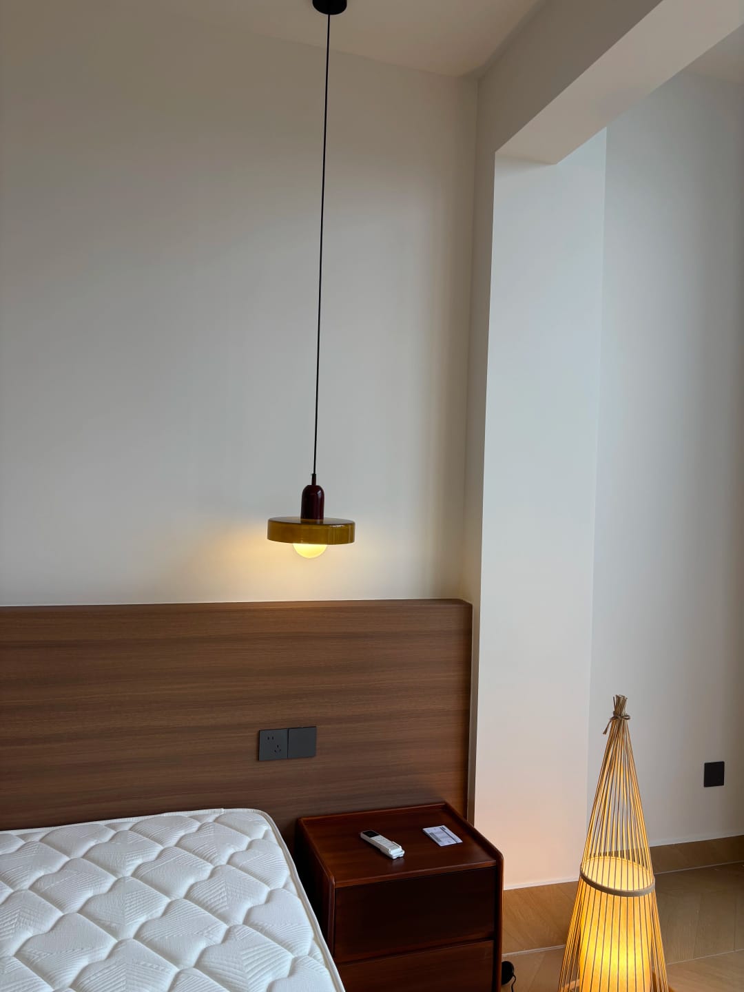 Customer photo review of Luminária Pendente Moderna Nórdica