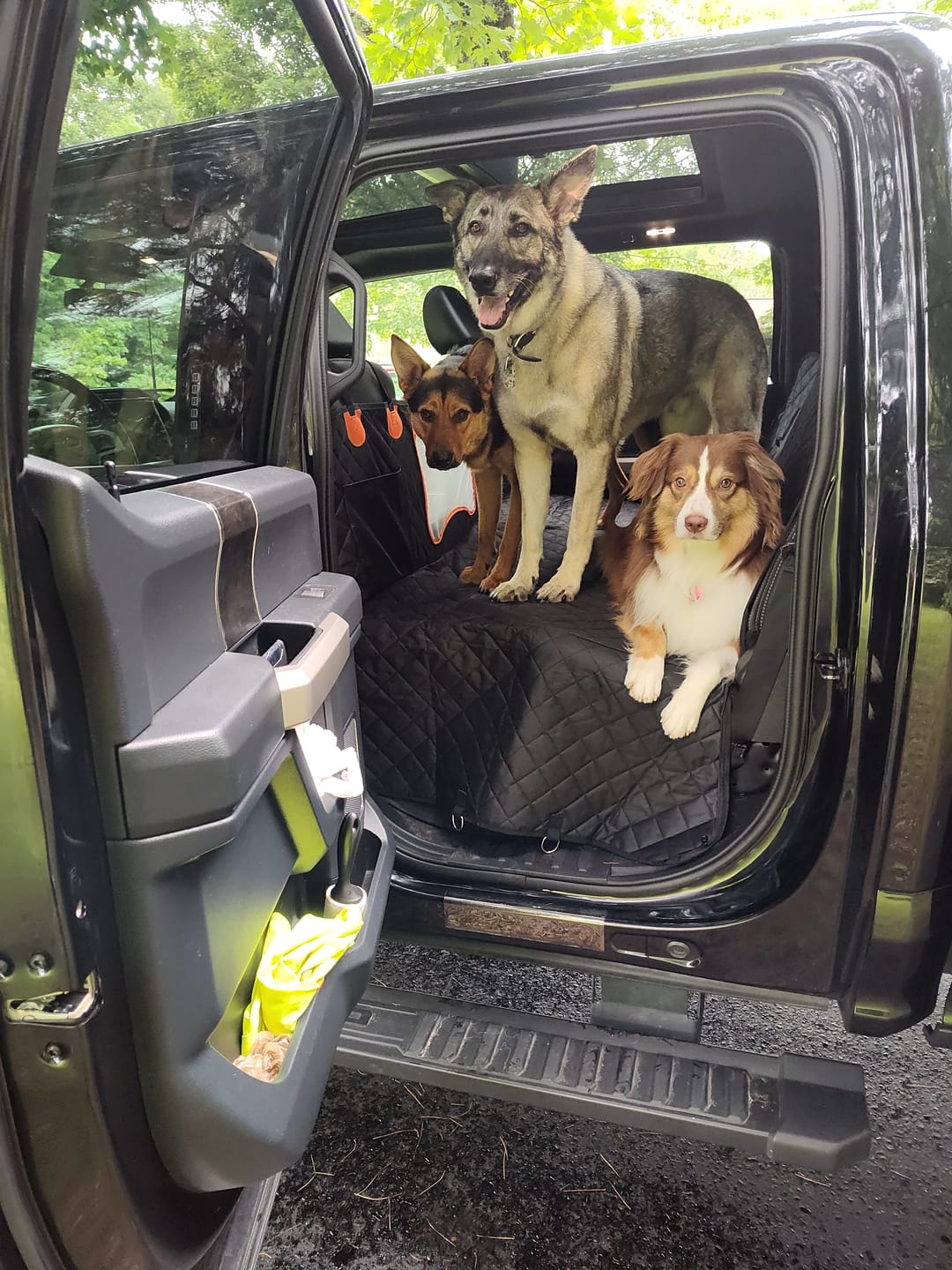 Customer photo review of FurGuard™: Hard Bottom Extender