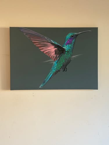 Customer photo review of Hummingbird in Flight