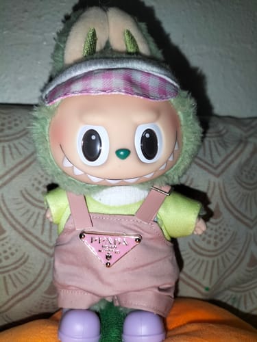 Customer photo review of Pop Mart Labubu The Monsters Tasty Macarons Vinyl Face Blind Box