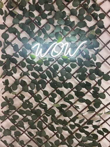 Customer photo review of Custom Neon: WOW