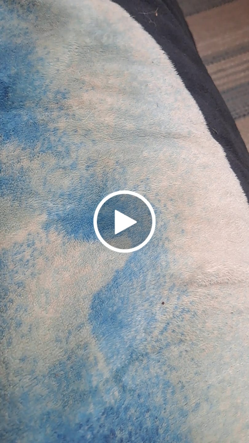 Customer video review of Vilniaus apokalipsė: kvapą gniaužiantis lietuviškas postapokaliptinis romanas