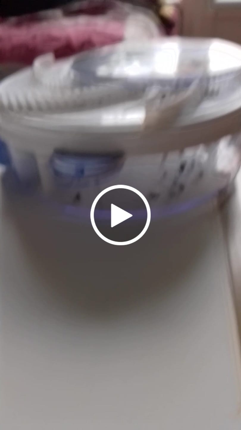 Customer video review of EcoTrappe - Attrape-Mouche Électrique
