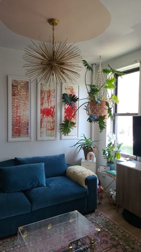 Customer photo review of Ready to Ship Pink, Olive and Beige Traditional Vintage Style Tree Wool Rug