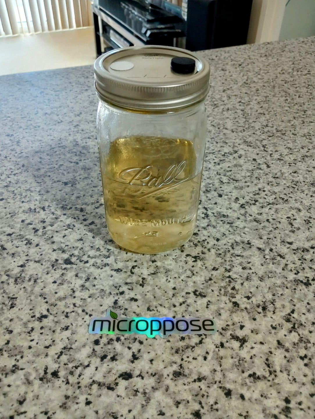 Customer photo review of Adherable Injection Ports For Plant & Mushroom Tissue Culture