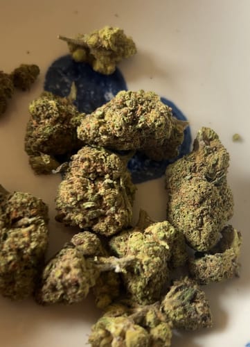 Customer photo review of Key Lime Pie THCA Flower