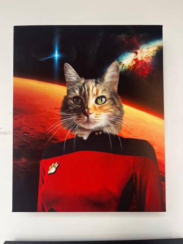Customer photo review of The Space Voyager (Female) – Custom Pet Canvas