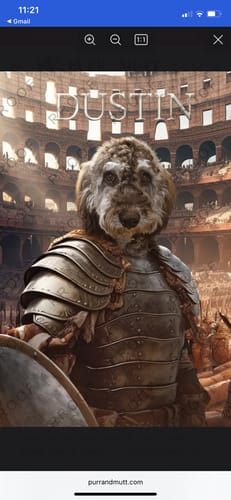 Customer photo review of Gladiator – Custom Pet Canvas