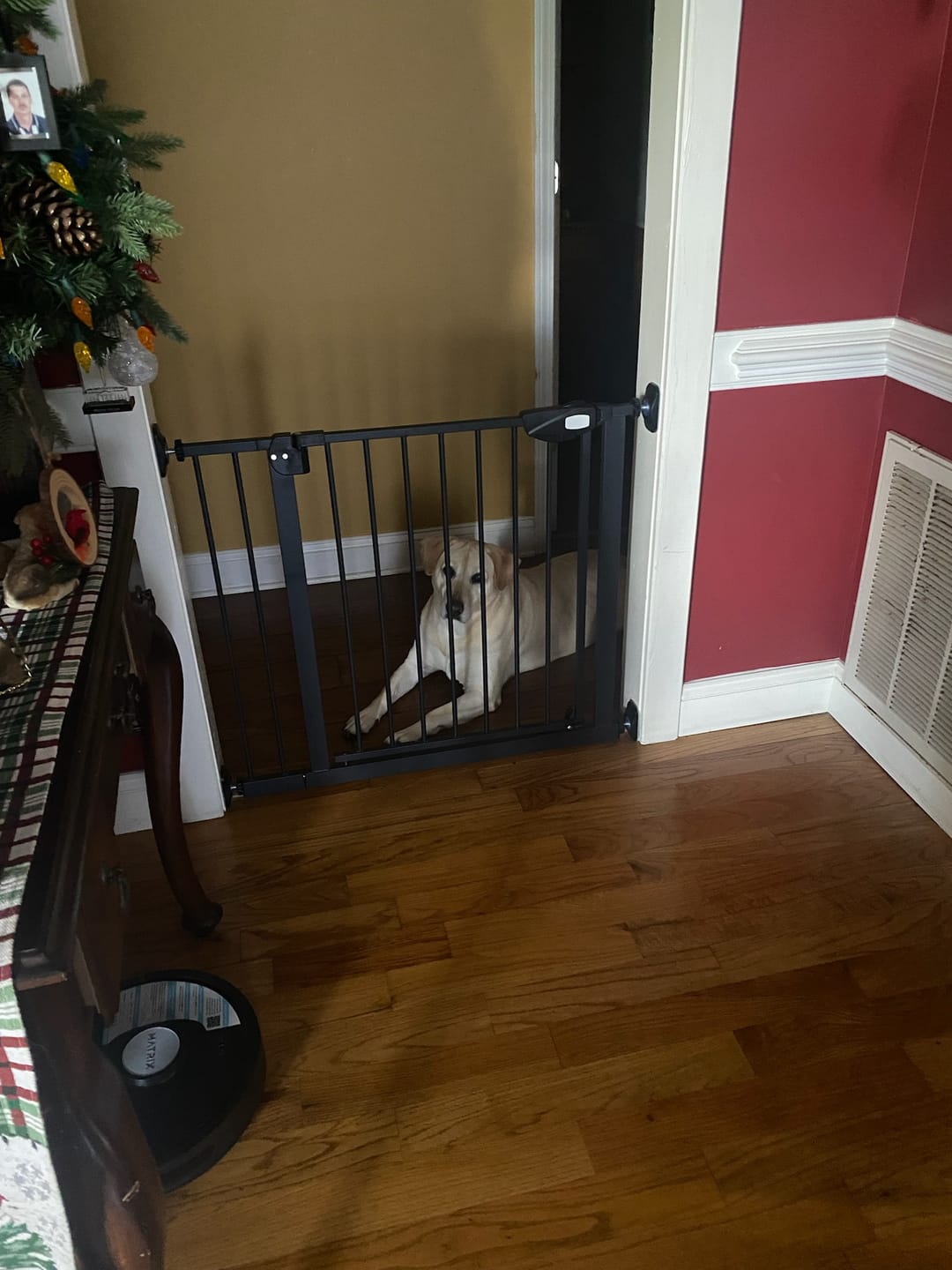 Customer photo review of FairyBaby 30"/ 36.6" Tall Safety Gate, with Dual-Direction Swing and One-Way Setting Control