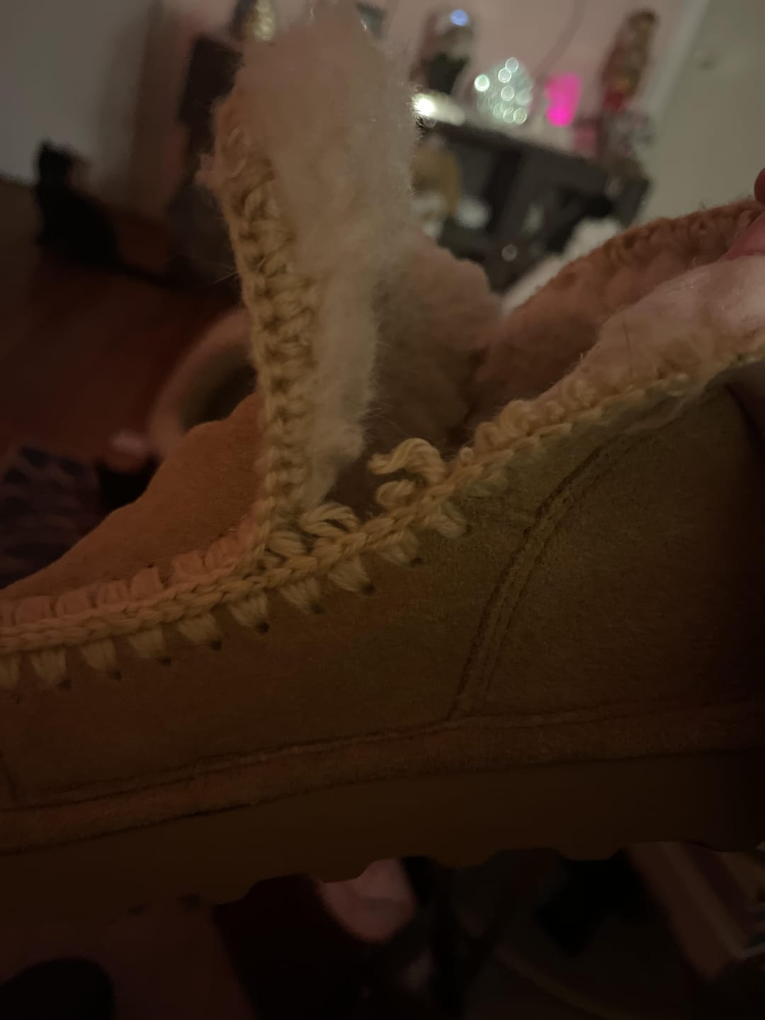 Customer photo review of WINTER MUSHROOM
