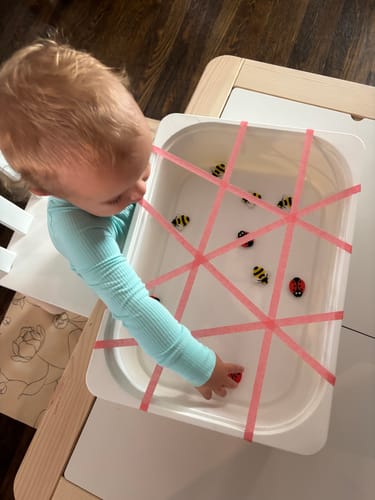 Customer photo review of The Toddler Box- Monthly