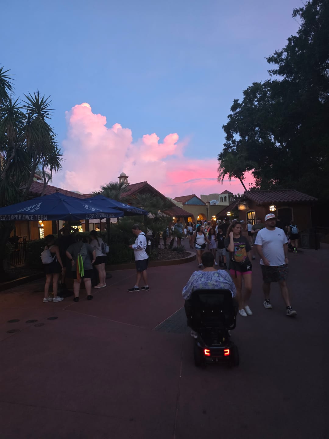 Customer photo review of Multiday Rental 4 Wheel 400 Pound Capacity Scooter