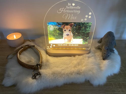 Customer photo review of In liefdevolle herinnering hond/kat ledlamp