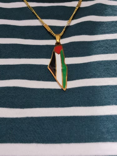 Customer photo review of Palestine Pride Map Necklace