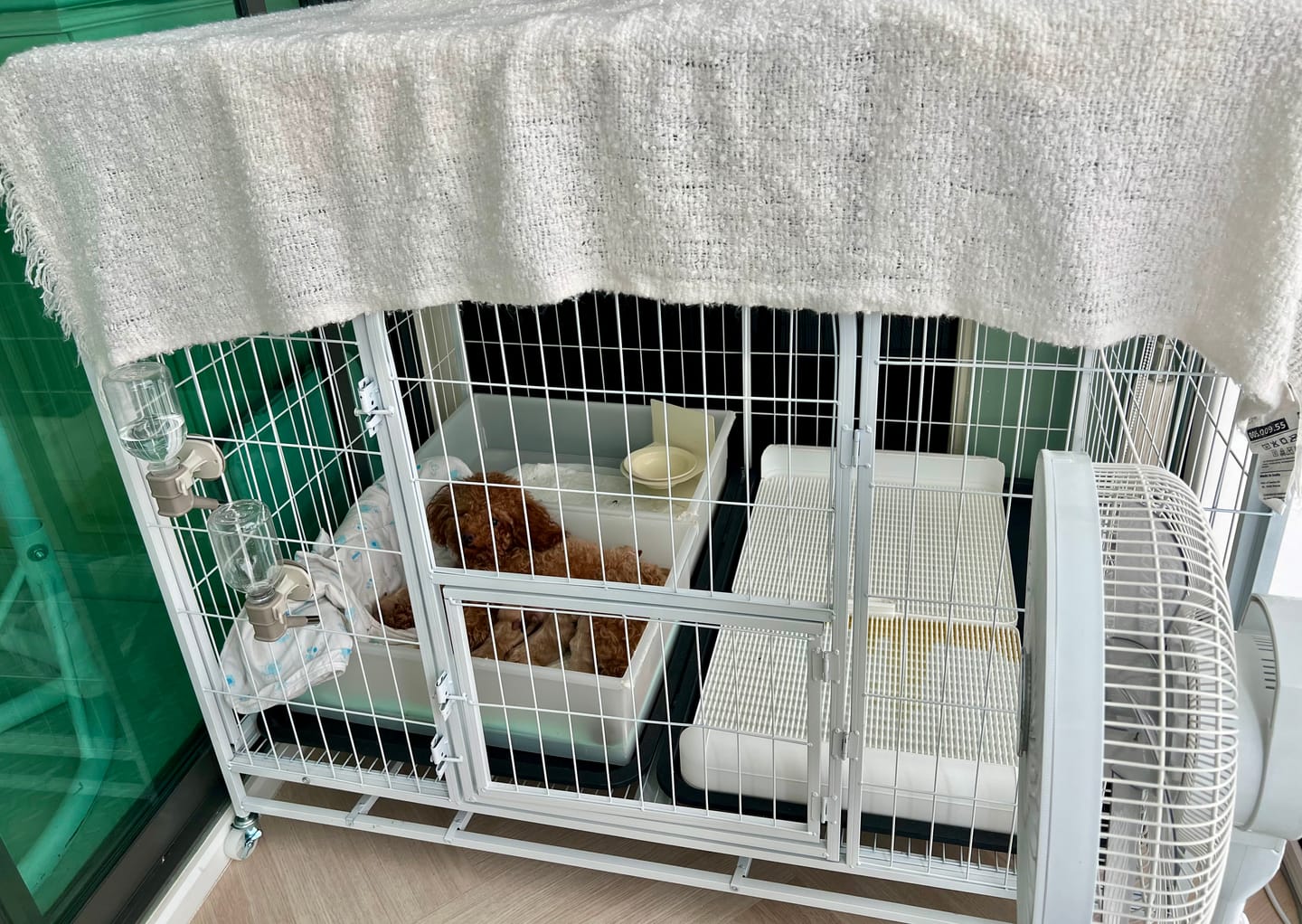 Customer photo review of Extended Protrusion Potty Pad (Size L)