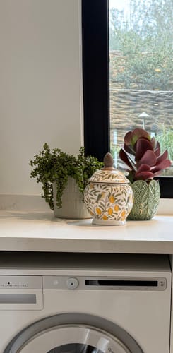 Customer photo review of Zero Waste Bundle (Scoop Included)