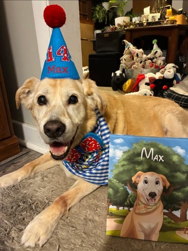 Customer photo review of Custom Hand-Drawn Cartoon Pet Portrait