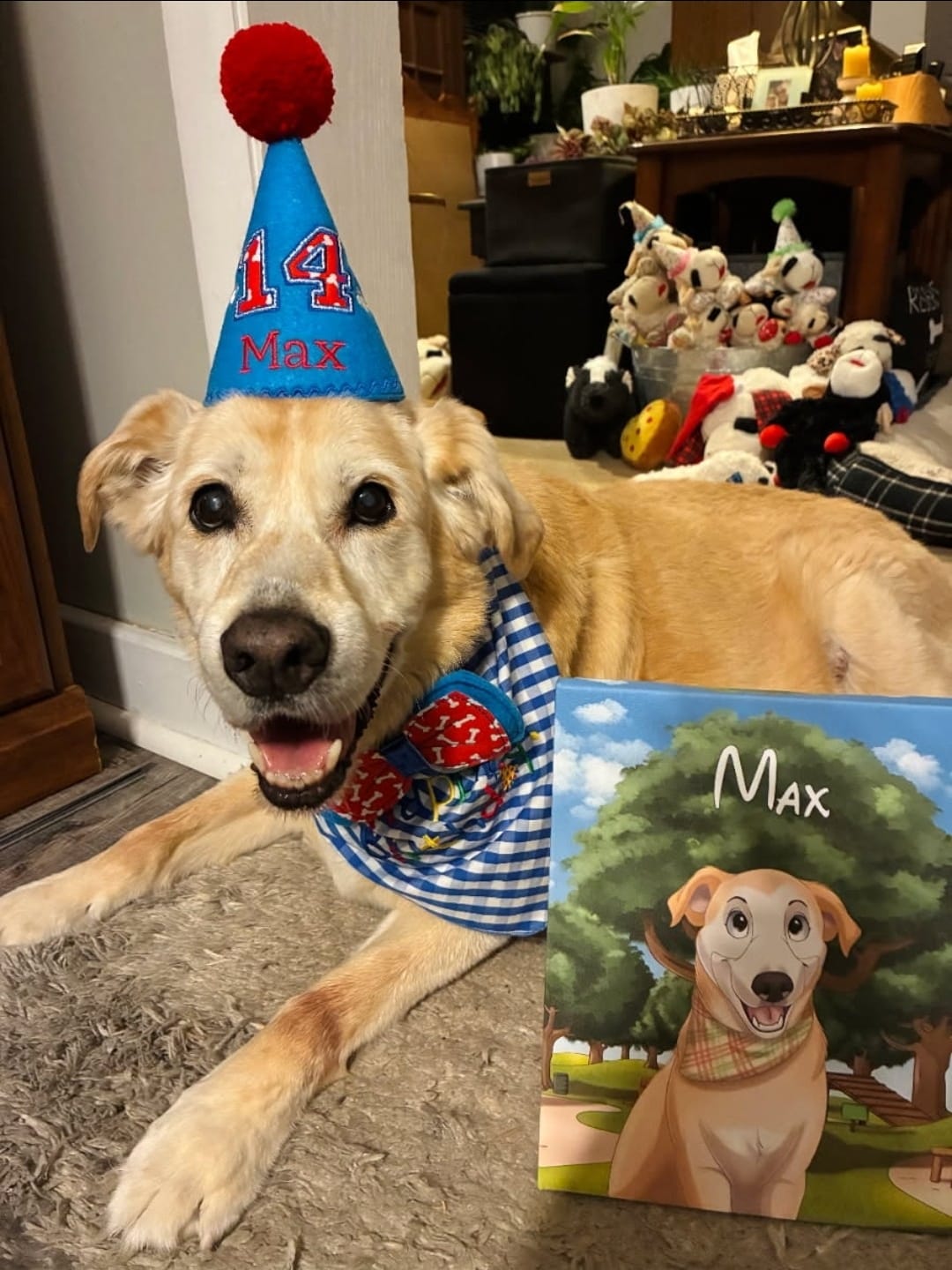 Customer photo review of Custom Hand-Drawn Cartoon Pet Portrait