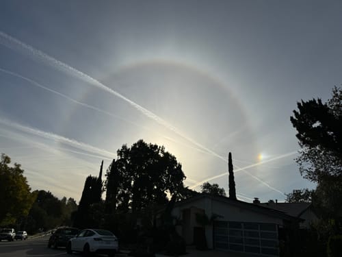 Customer photo review of Extra Strength Vitality Capsules-The Advanced Cleansing Protocol