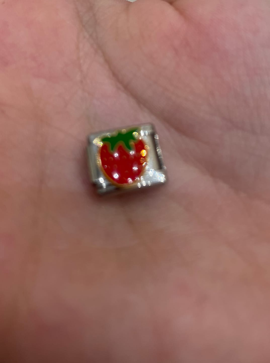 Customer photo review of Charm Fresa