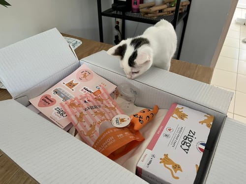 Avis photo d'un client sur Coffret Découverte Chaton - 1kg Croquettes + 8 Pâtées + 3 probiotiques