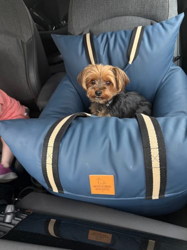 Customer photo review of Wagging Rights - Dog Dock