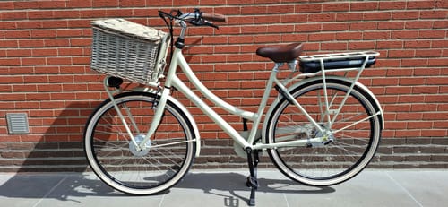 Customer photo review of E-Cargo N3