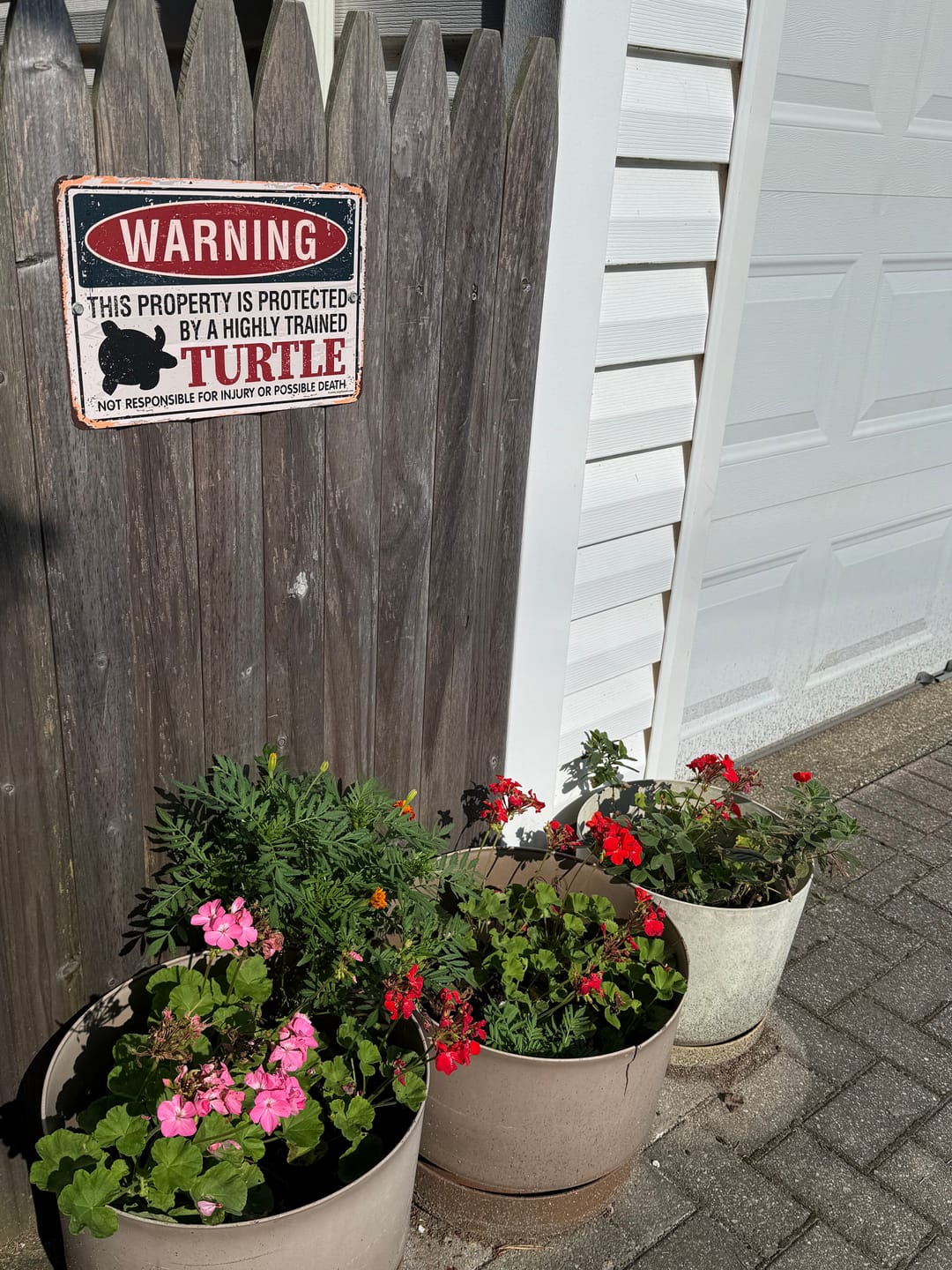 Customer photo review of Property Protected By Turtle - Metal Sign