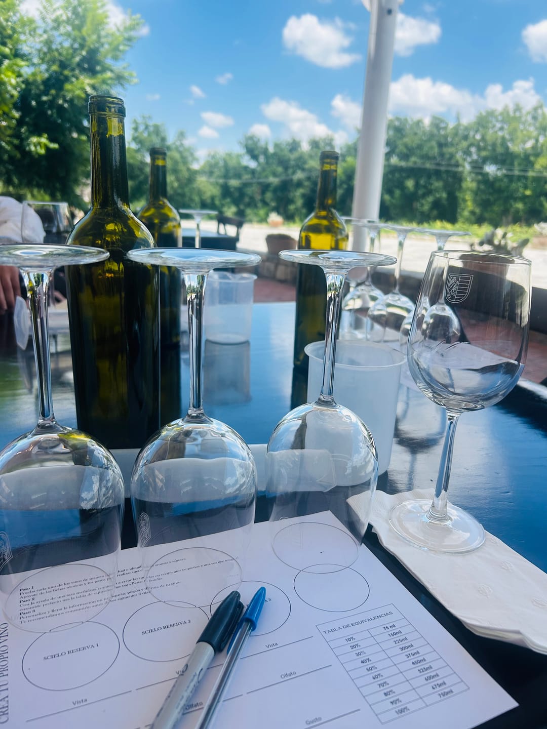Customer photo review of Crea Tu Vino