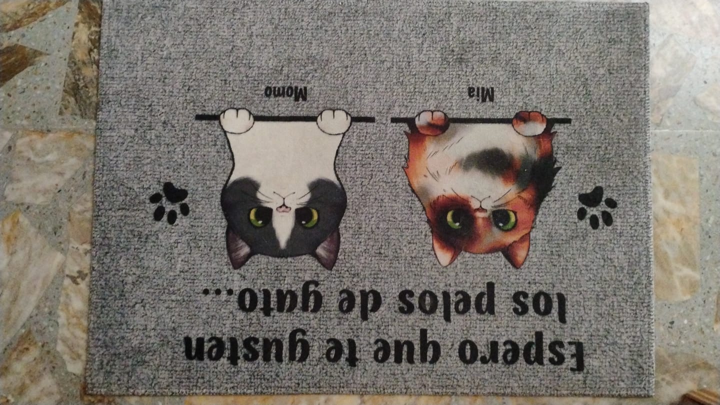 Customer photo review of Bienvenidos a lo de gatos curiosos - Felpudo personalizado