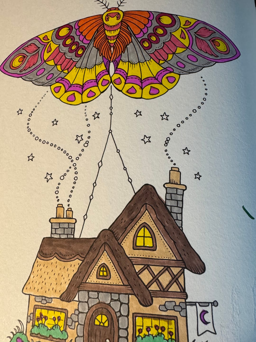 Customer photo review of Ohuhu Dual Tips Water-Based Art Markers