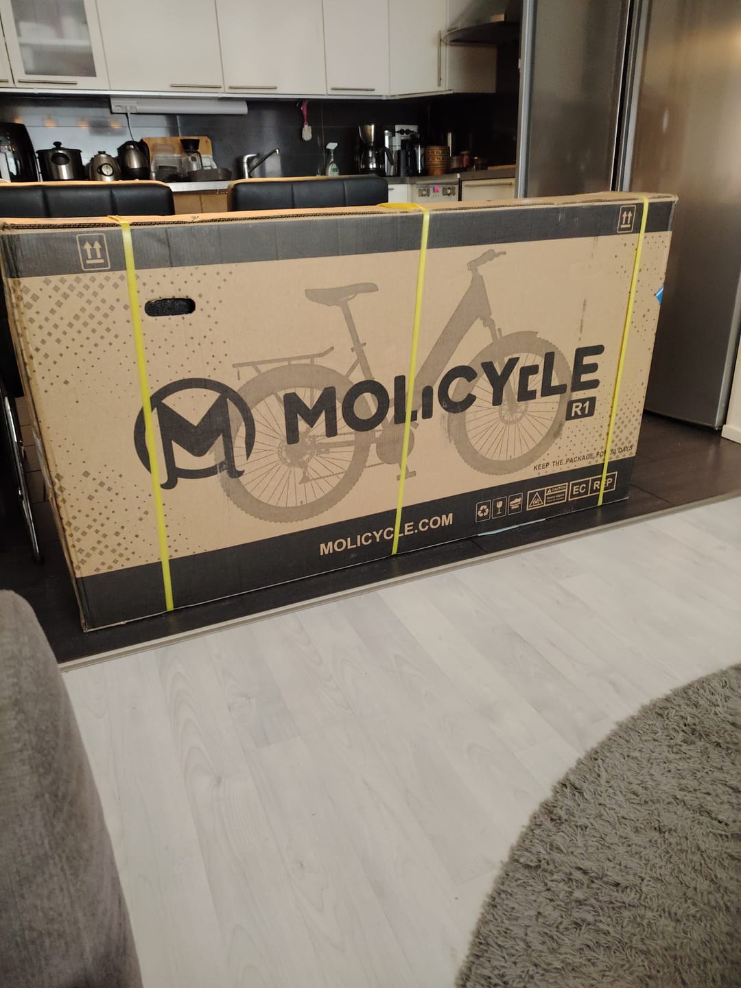Customer photo review of Molicycle R1 250W 26" Electric Trekking Bike 532Wh City E-bike with Torque Sensor 14.5Ah Support APP