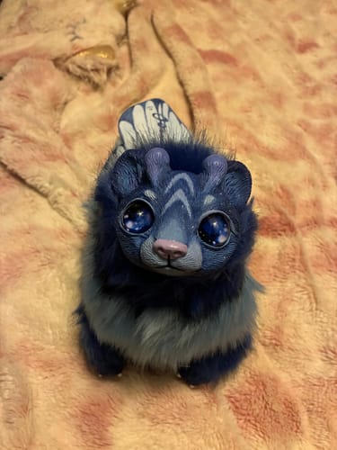 Customer photo review of Bumblebear– Space blue