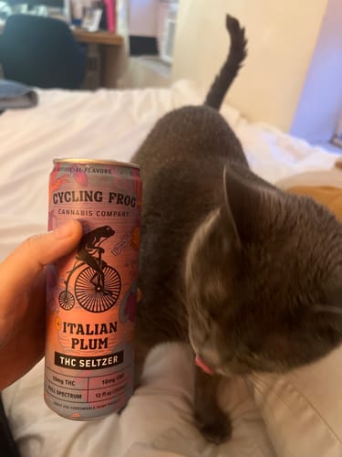 Customer photo review of Italian Plum THC Seltzer, 6pk